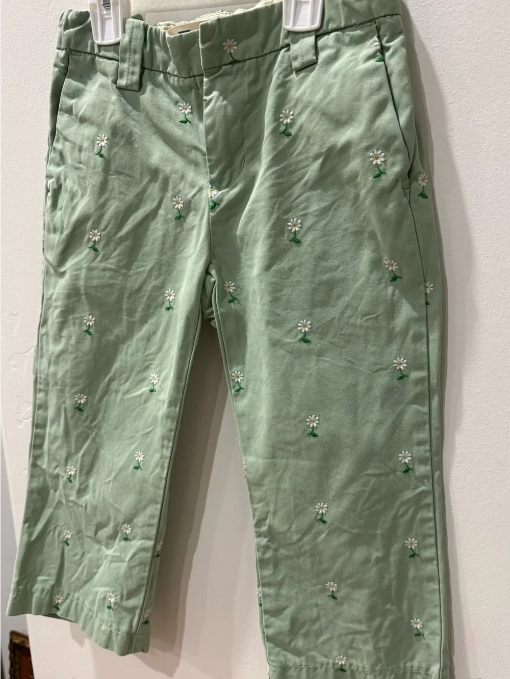 GAP Sage Green Daisy Embroidered Chinos